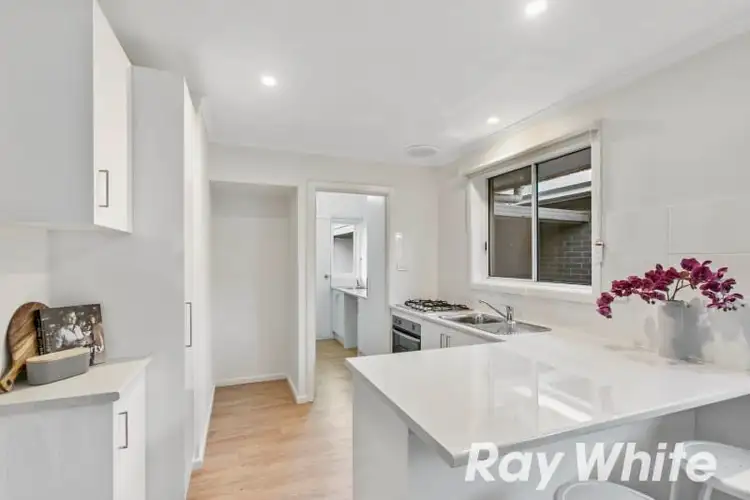 Second view of Homely unit listing, 3/41 Pine Crescent, Boronia VIC 3155