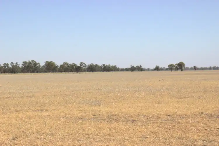 Fifth view of Homely rural property listing, .COOMA LEA CALADONIA Road, Baradine NSW 2396