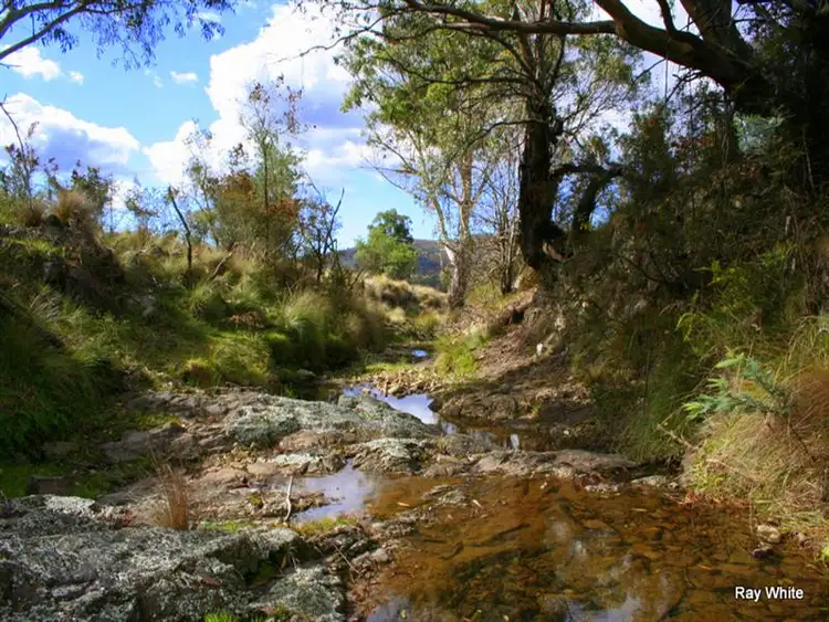 Sixth view of Homely rural property listing, 3940 Cooma Road, Braidwood NSW 2622