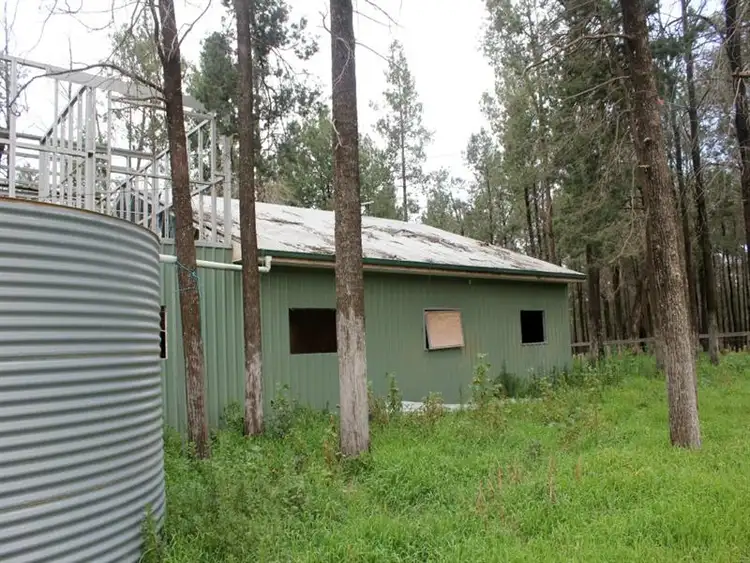 Fifth view of Homely rural property listing, 1141 Morangarell Road, Temora NSW 2666