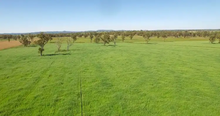 Fifth view of Homely rural property listing, Roseneath 2004 Rangers Valley Road, Glen Innes NSW 2370