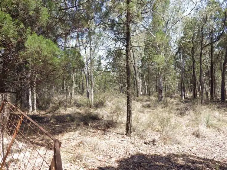 Third view of Homely rural property listing, Lot 9 Warrumba Road, Cowra NSW 2794