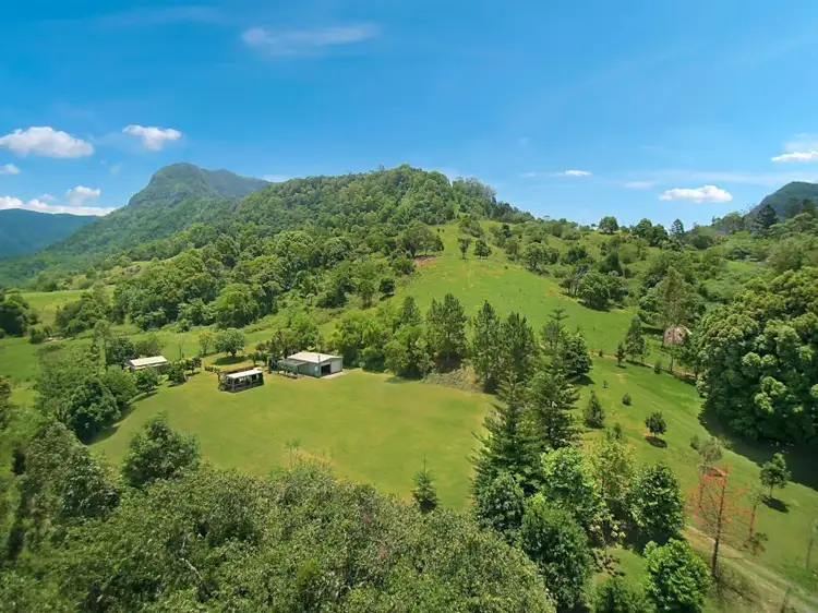 Main view of Homely rural property listing, 2327 Numinbah Road, Numinbah NSW 2484