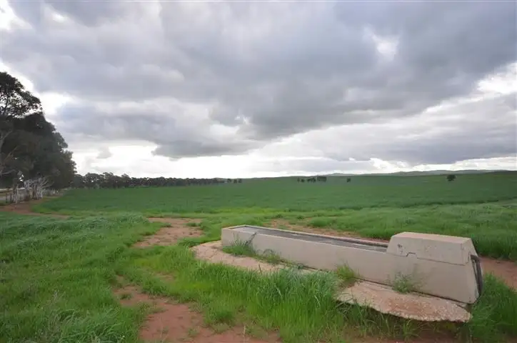 Sixth view of Homely rural property listing, "Wandowie" Pipeline Road, Leighton SA 5417