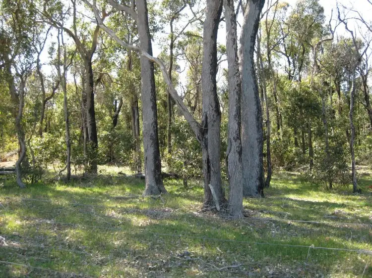 Main view of Homely rural property listing, Lot 151 Pickles Road, Narrikup WA 6326