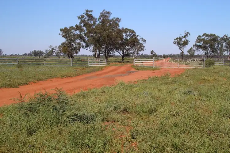 Fourth view of Homely rural property listing, 29351 Mitchell Highway, Charleville QLD 4470