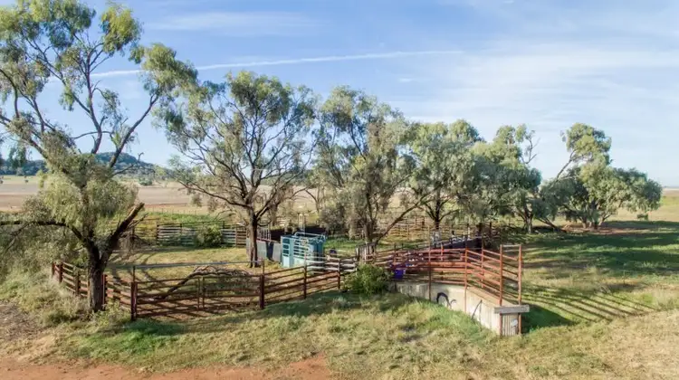 Seventh view of Homely rural property listing, 'COLADDI' 155 STRANG Road, Tambar Springs NSW 2381