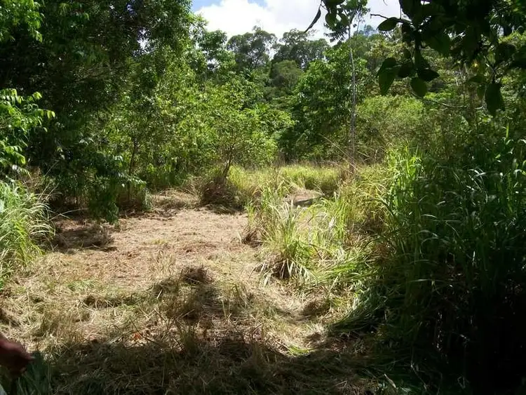 Fifth view of Homely rural property listing, 2340 Innisfail Japoon Road, Mena Creek QLD 4871