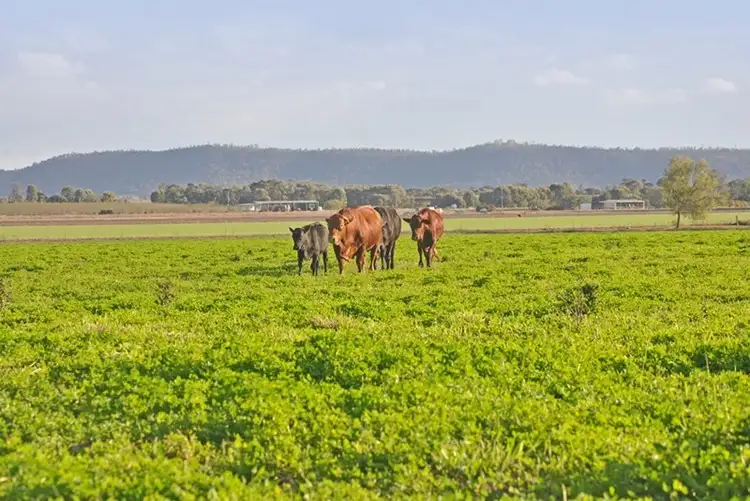 Third view of Homely rural property listing, 0 Gibber Gunyah Road, Isla QLD 4719