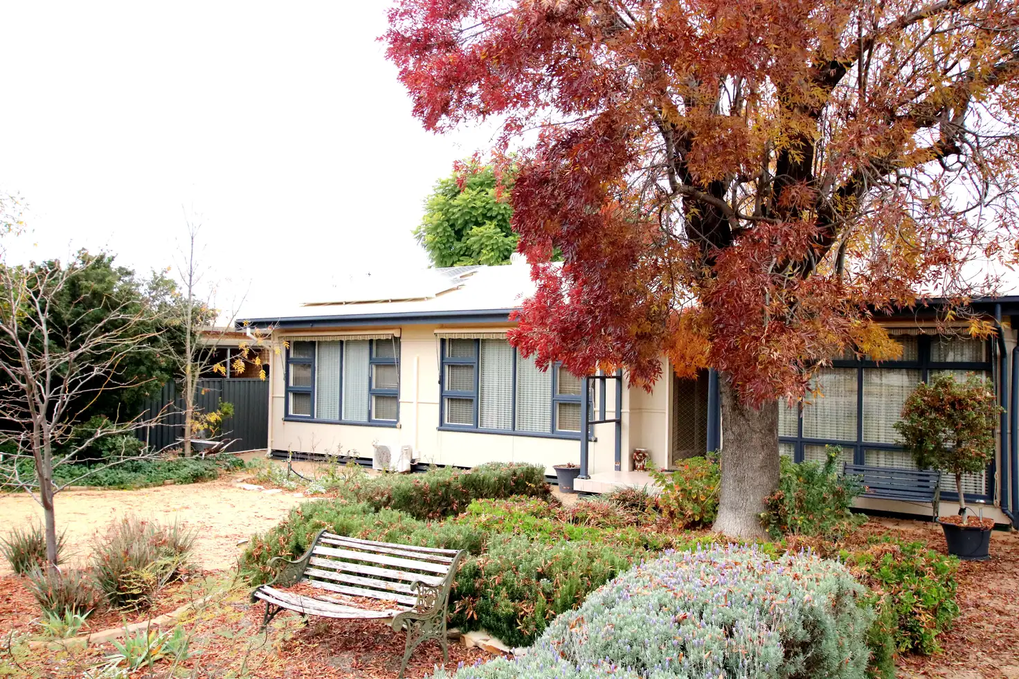 Main view of Homely house listing, 21 Second Street, Loxton SA 5333