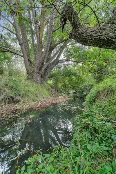 Third view of Homely house listing, 68 Venables Street, Macclesfield SA 5153