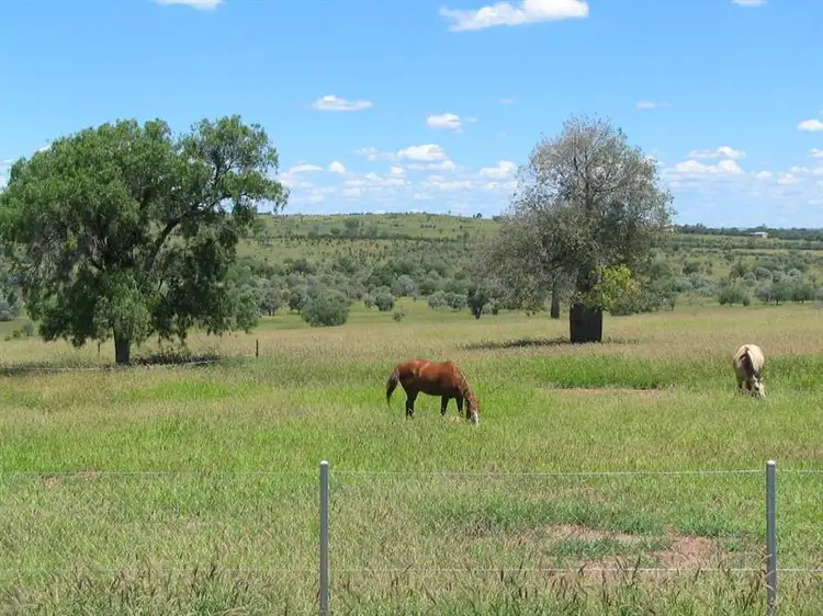 Second view of Homely rural property listing, 312 Short Street, Roma QLD 4455