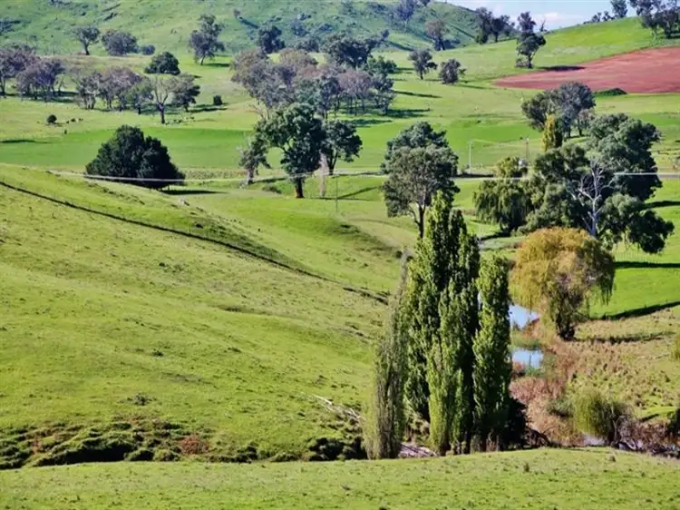 132 Dowling Drive Murringo, via, Young NSW 2594