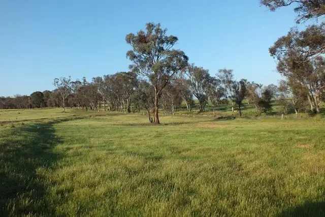 Third view of Homely rural property listing, 53 Bloom Hill Road, O'connell NSW 2795