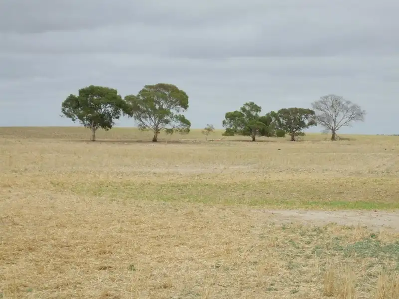 Main view of Homely rural property listing, Lot 14 Oaks Road, Parilla SA 5303