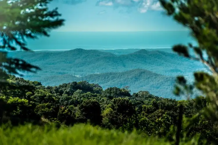 Third view of Homely rural property listing, 731 Maynards Plains Road, Dorrigo NSW 2453