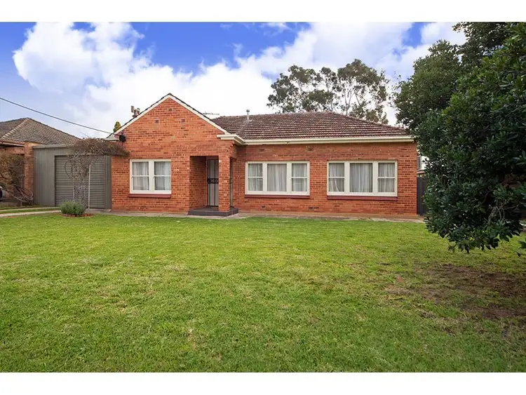 Second view of Homely house listing, 16 Gray Street, Tranmere SA 5073