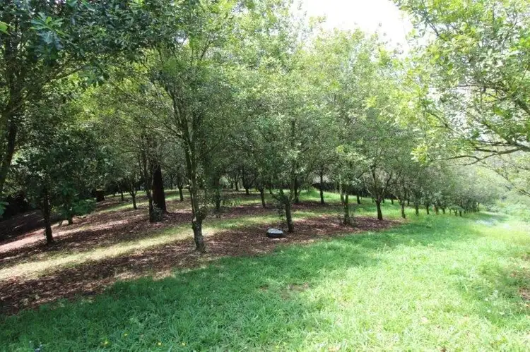 Sixth view of Homely rural property listing, 161 Fletcher Road, Dunoon NSW 2480