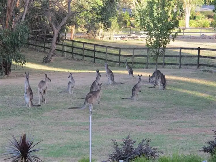 Seventh view of Homely house listing, 1 Tamboore Way, Lysterfield South VIC 3156