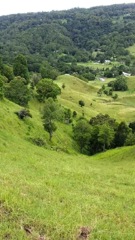 Third view of Homely land listing, 1318 Currumbin Creek Road, Currumbin Valley QLD 4223