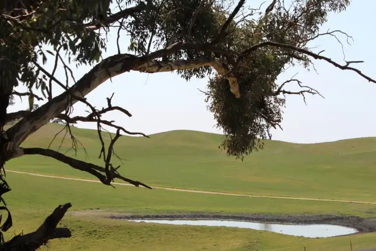 Second view of Homely rural property listing, 2219 Dog Rocks Road, Rockley NSW 2795