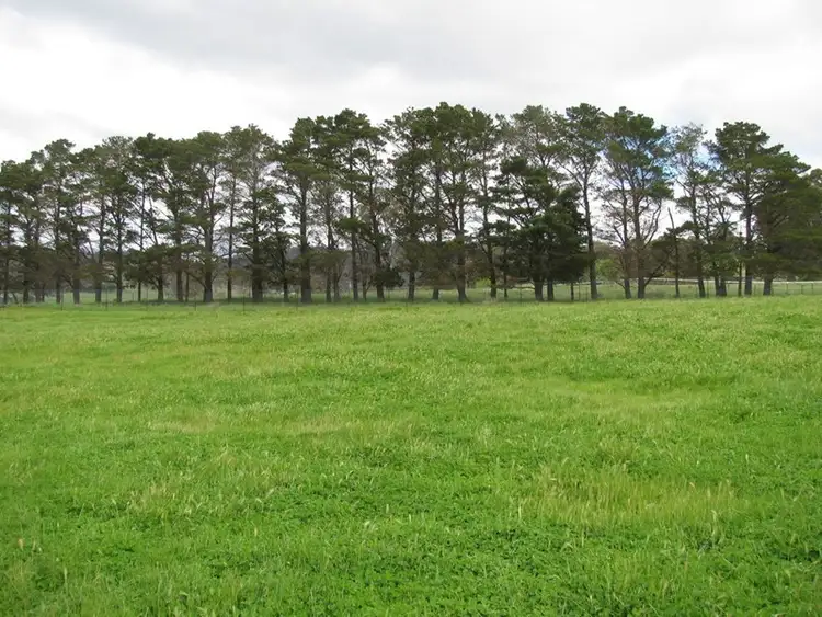 Fifth view of Homely rural property listing, 38 Warm Corner Road, Burra NSW 2620