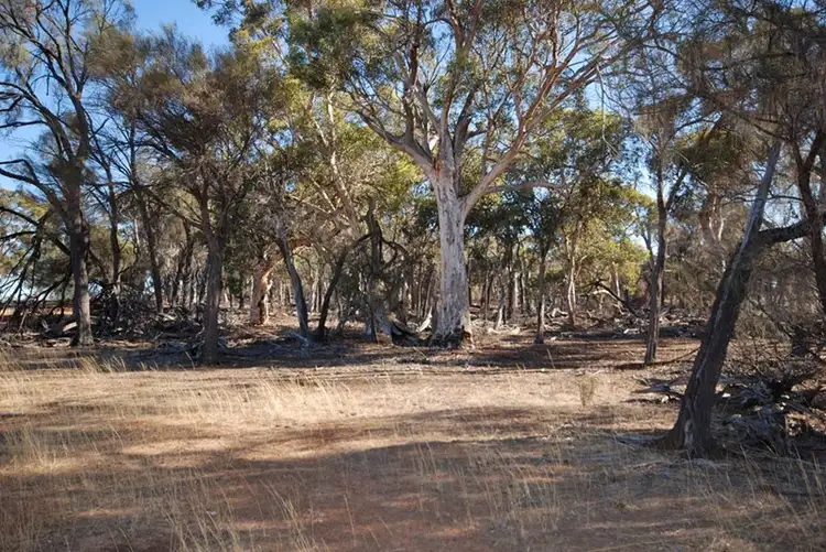 4826 Williams-Kondinin Road, Narrogin WA 6312