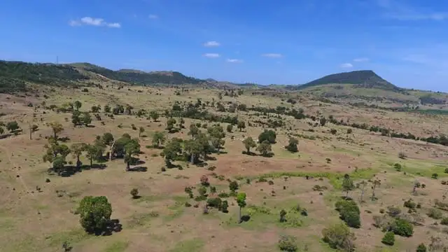 Fifth view of Homely rural property listing, 2716 Valentine Plains Road, Valentine Plains QLD 4715