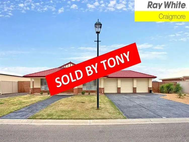 Main view of Homely house listing, 13 Claret Avenue, Virginia SA 5120