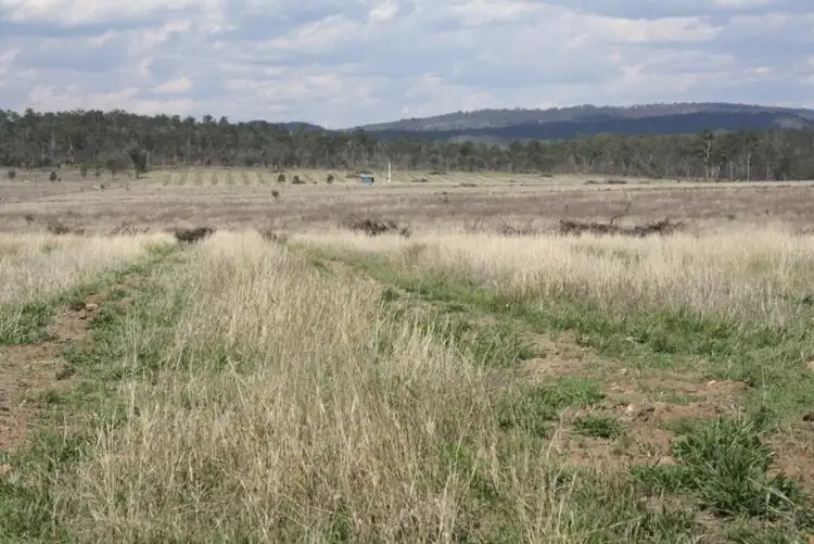 Fourth view of Homely rural property listing, Lot 54 Burnett Highway, Eidsvold QLD 4627