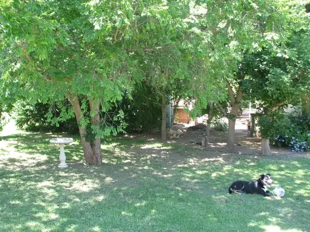 Seventh view of Homely rural property listing, 120 Carro Park Road, Cowra NSW 2794