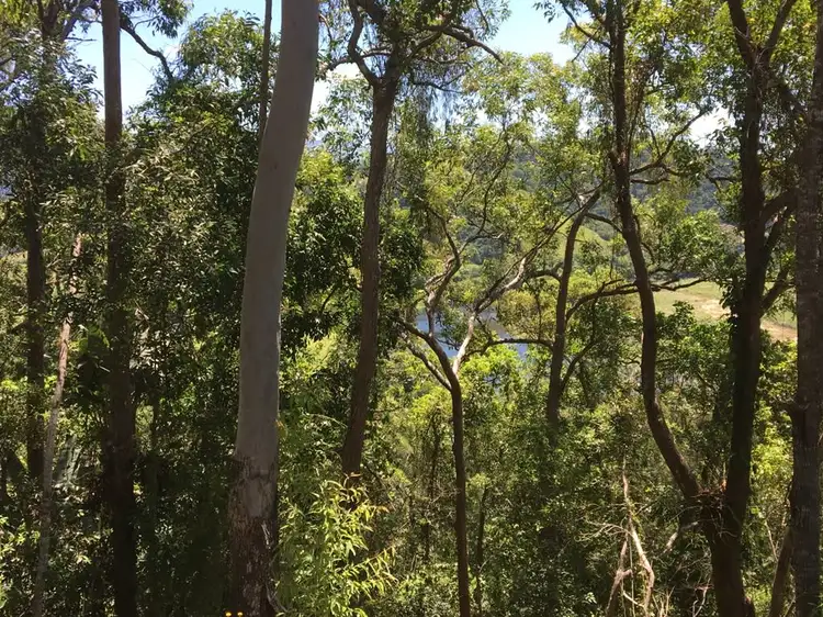 Fifth view of Homely land listing, Lot 1 Stewart Creek Road, Daintree QLD 4873