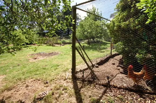 Fourth view of Homely house listing, 35 Kerry Road, Warranwood VIC 3134
