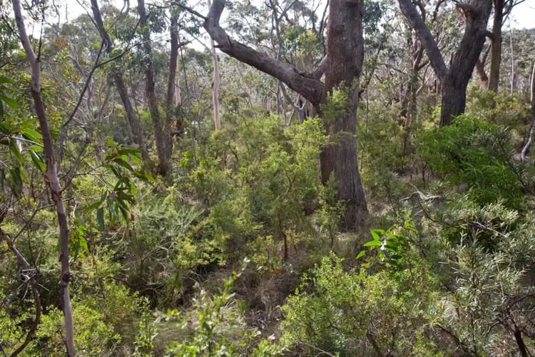 Second view of Homely land listing, Block 11 - Lot 170 and 128 DP 16449 - 46 Godson Avenue, Blackheath NSW 2785