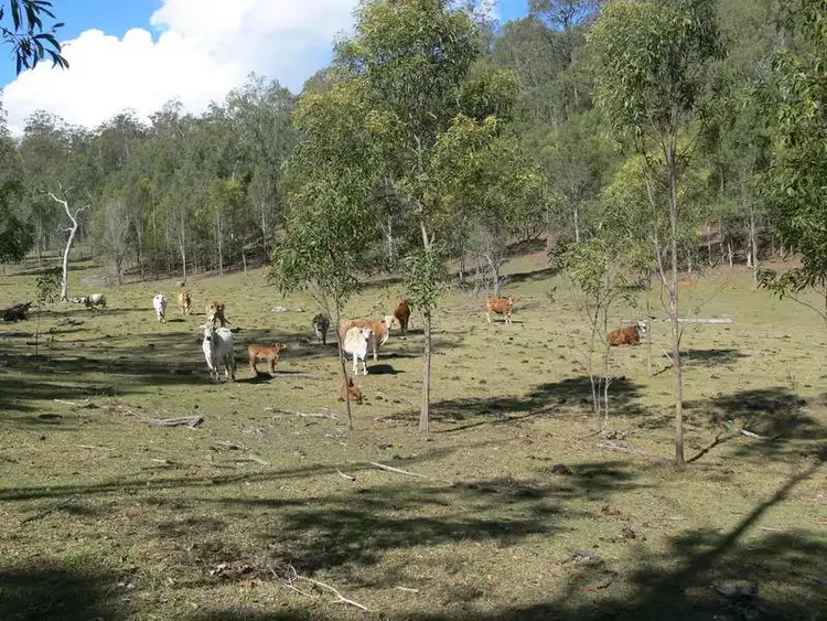 Seventh view of Homely rural property listing, Address available on request