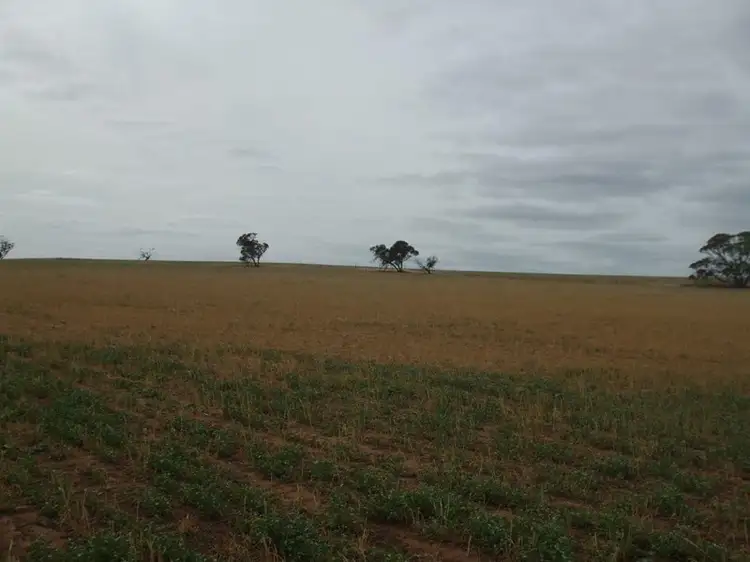 Second view of Homely rural property listing, Lot 13 Oaks Road, Pinnaroo SA 5304
