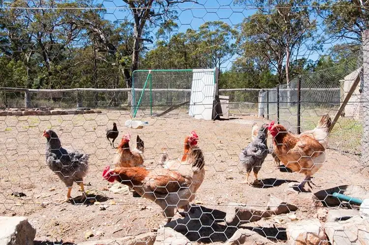 Fifth view of Homely rural property listing, 979 Tugalong Road, Canyonleigh NSW 2577