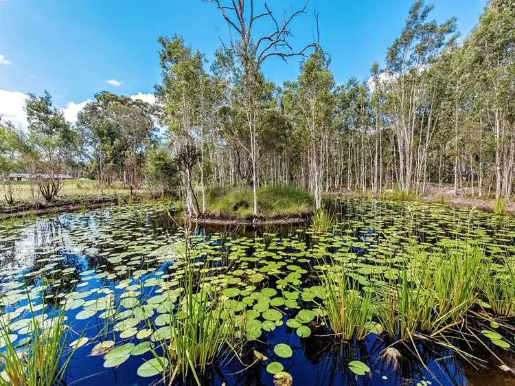 Fourth view of Homely house listing, 31 Turpentine Road, Cooroibah QLD 4565