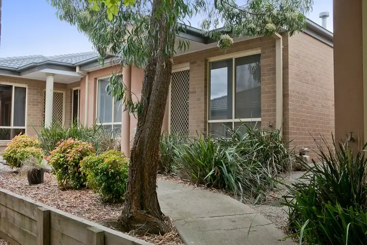 8/64 Potts Road, Langwarrin VIC 3910