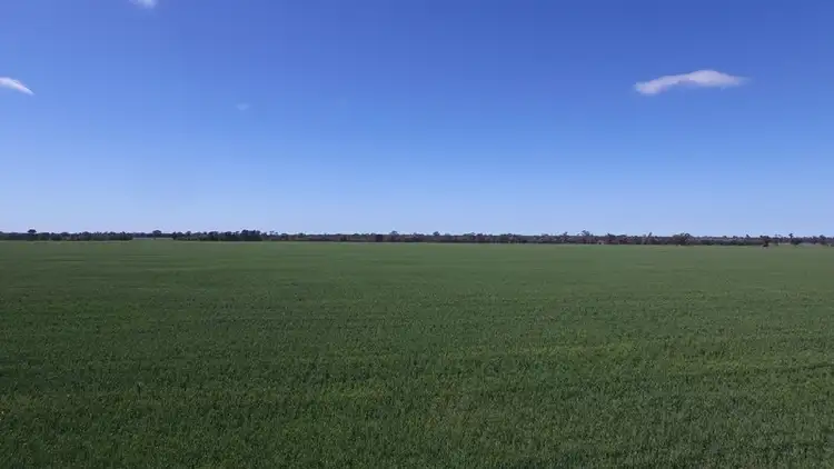 Seventh view of Homely rural property listing, 4089 Roma-Condamine Road, Condamine QLD 4416