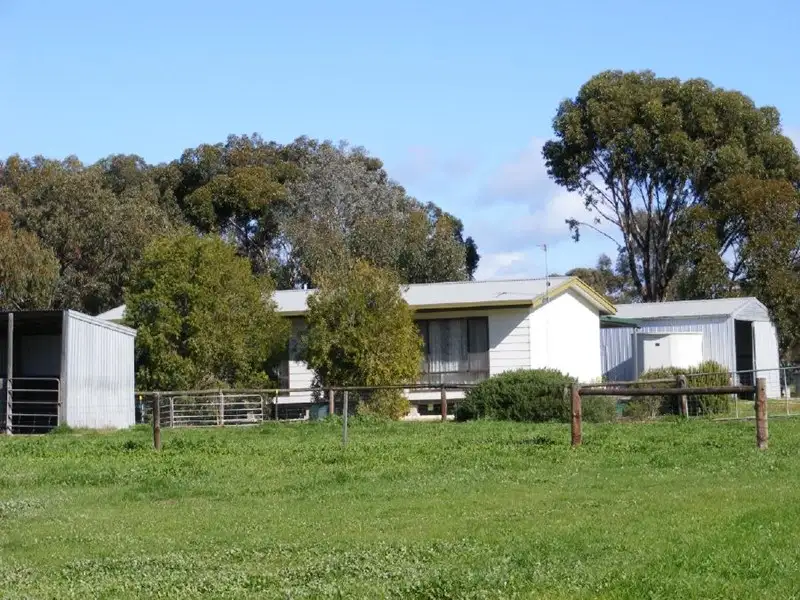 Main view of Homely house listing, 46 Punjum Road, Mundulla SA 5270