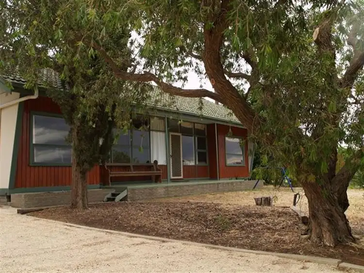 Main view of Homely house listing, 262 Perry Road, Waikerie SA 5330