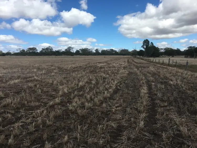 Sixth view of Homely rural property listing, 768 Oakey-Pittsworth Road, Aubigny QLD 4401