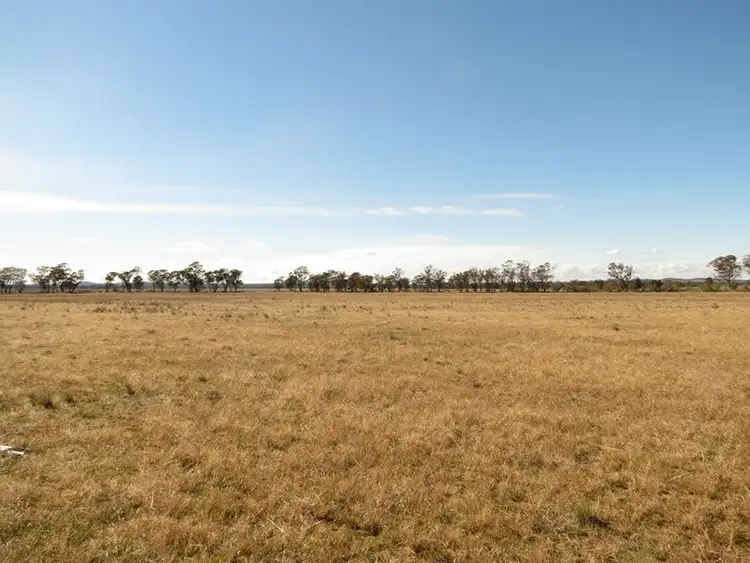 Seventh view of Homely rural property listing, 581 Slingers Lane, Temora NSW 2666