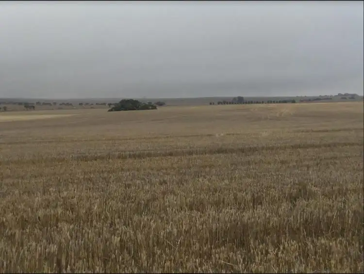 Main view of Homely rural property listing, 2 Lots, Manilla and Iron Mind Road, Hanson SA 5417