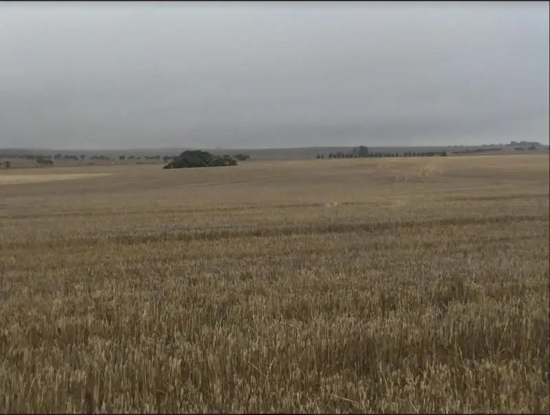 Main view of Homely rural property listing, 2 Lots, Manilla and Iron Mind Road, Hanson SA 5417
