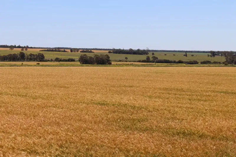 Main view of Homely rural property listing, 00 Turner Road, Millmerran QLD 4357