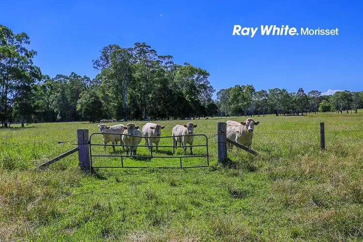 Third view of Homely rural property listing, 175 Manhire Road, Wyee NSW 2259