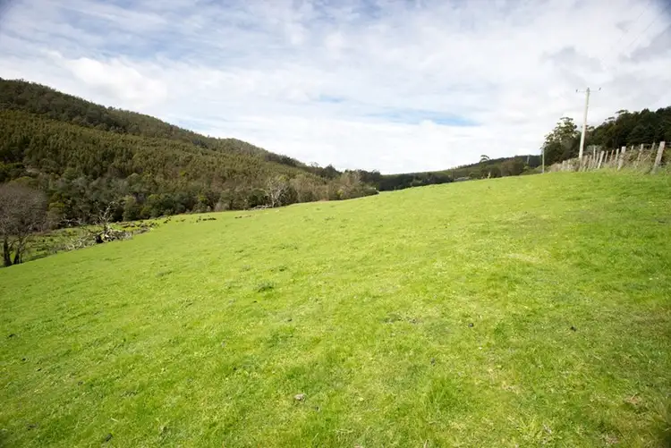 Fourth view of Homely rural property listing, 163 Turkey Farm Road, Glengarry TAS 7275