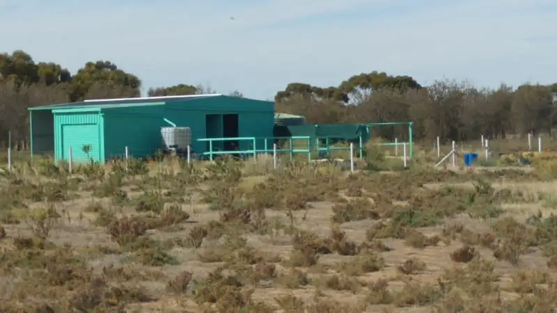 Main view of Homely land listing, 37 Kankine Street, Dumbleyung WA 6350